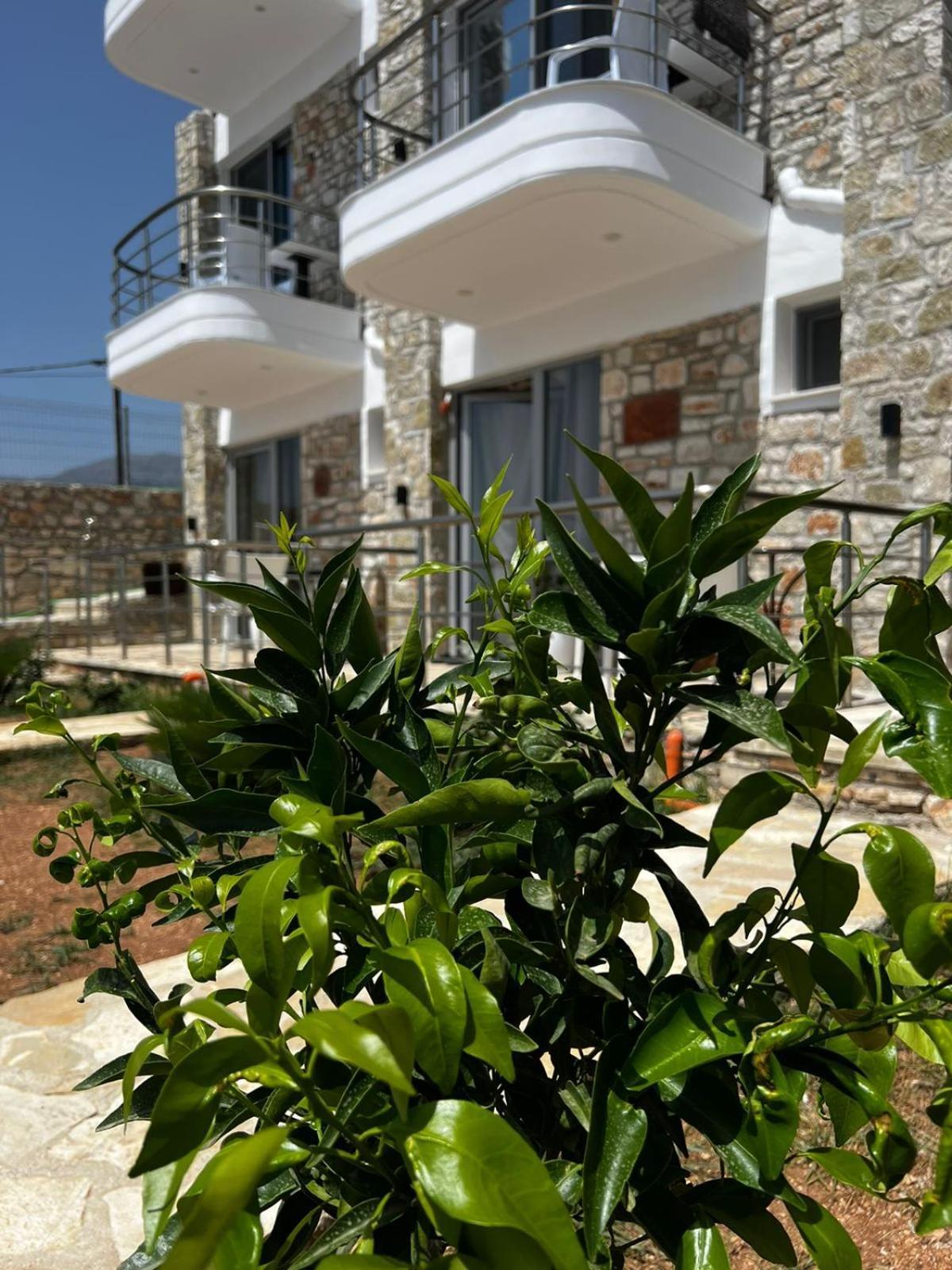 Noah'S Home Χειμάρρα Εξωτερικό φωτογραφία